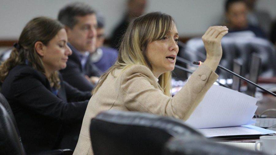 Consejo de la Magistratura 08042026