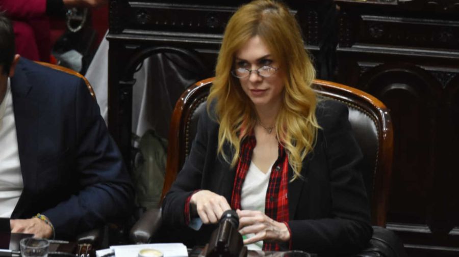 Diputados Ley de Glaciares 08042026