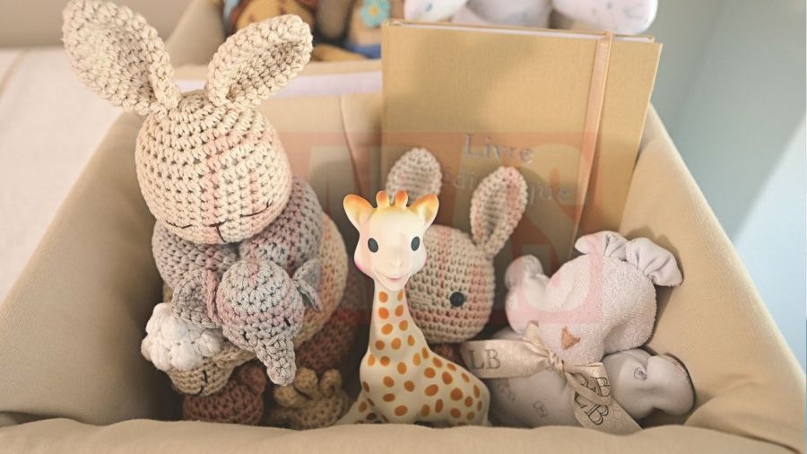 María Belén Ludueña