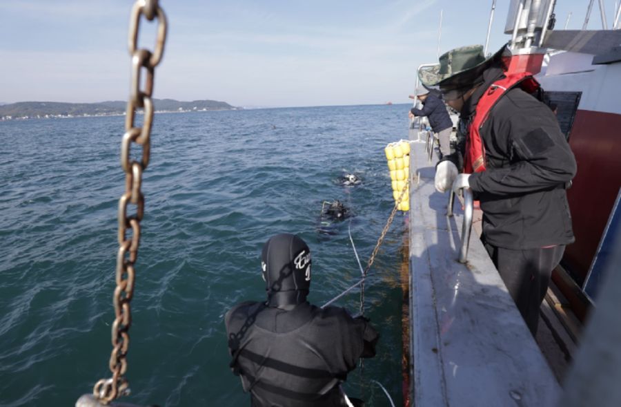 0904_bosques marinos