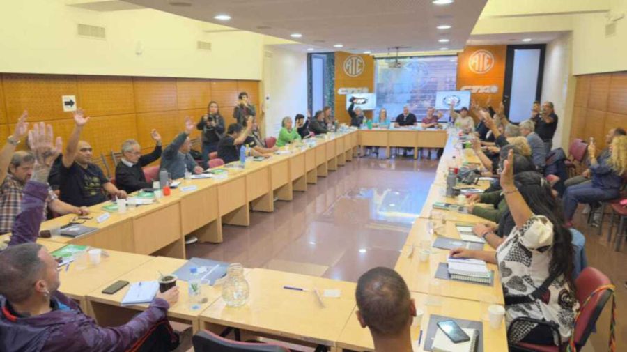 ATE plenario donde decidieron ir al paro el 21 de abril 20260409