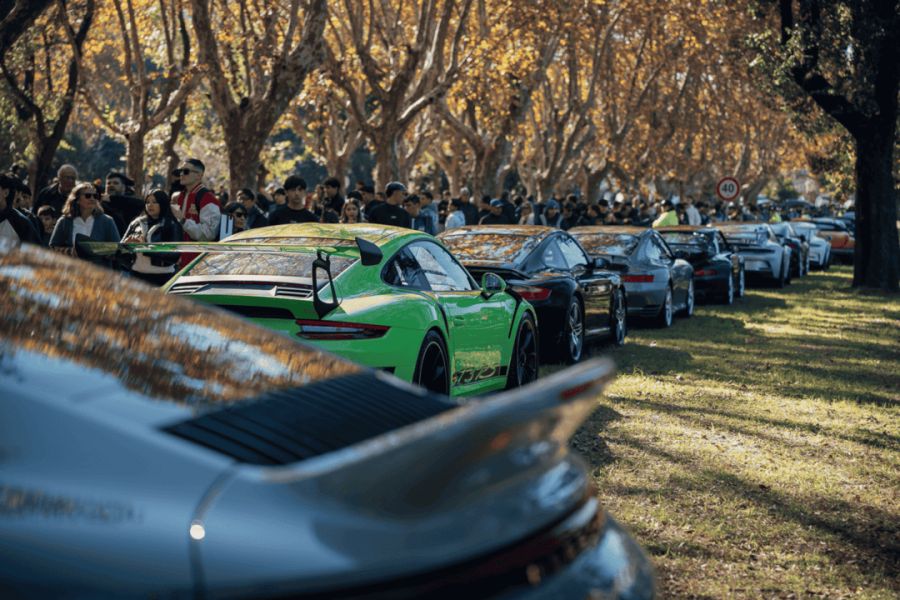 Exóticos en Argentina 