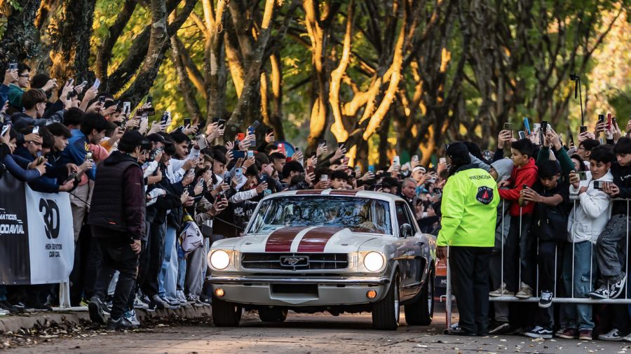 Exóticos en Argentina 