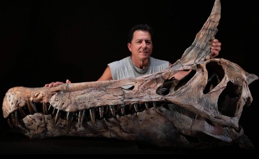 Spinosaurus en el Sáhara