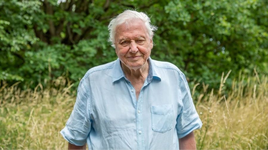 David Attenborough