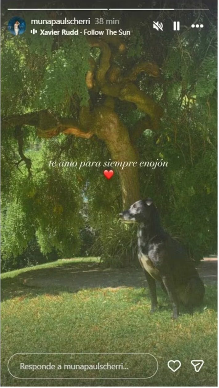 Muna Pauls despidió a su perro fallecido