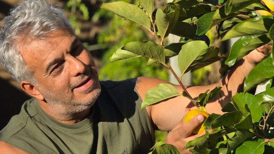 Así es la casa de Mario Massaccesi