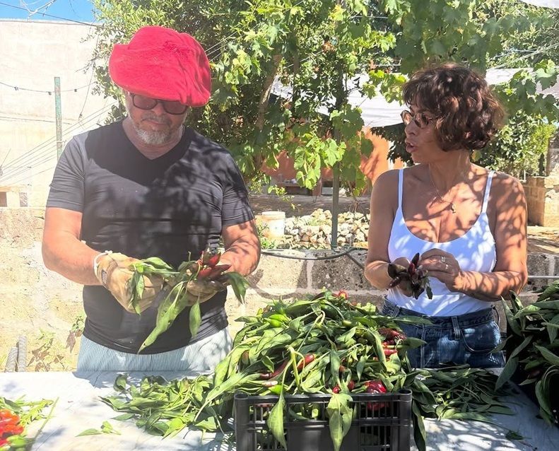 La vida de Donato de Santis en Italia