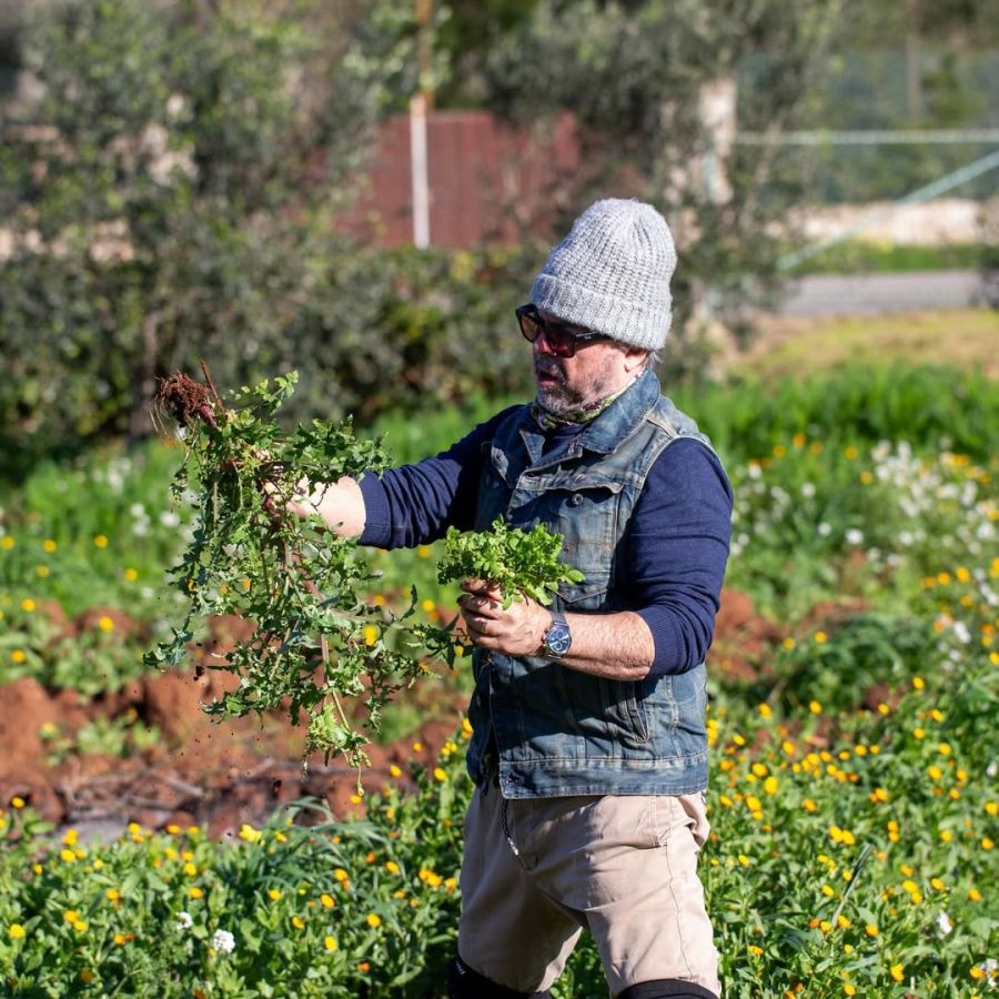 La vida de Donato de Santis en Italia
