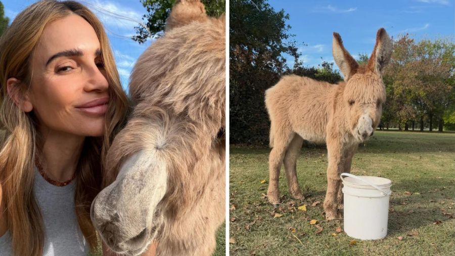Olga, la nueva mascota de María Vázquez