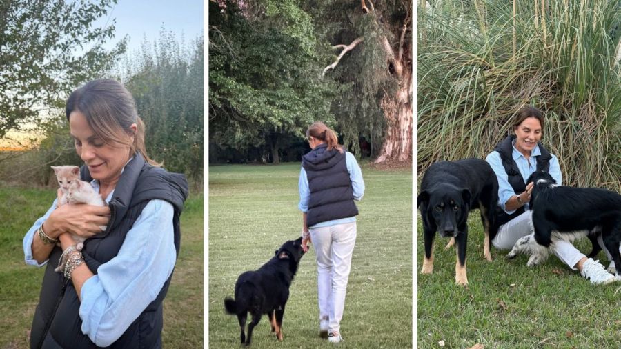Nequi Galotti, Teresa Calandra, Evelyn Scheidl
