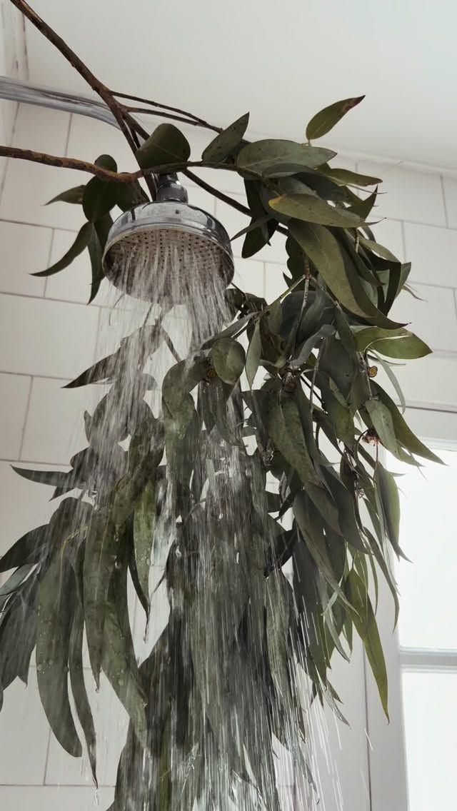 El detalle verde en el baño de Nequi Galotti