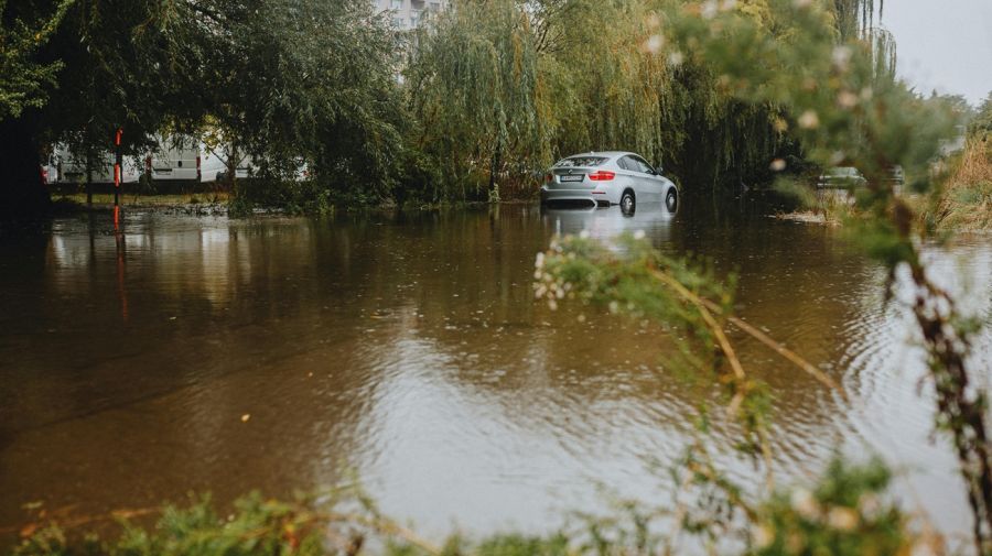 1504_peces_inundaciones