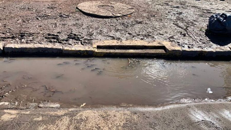 1504_peces_inundaciones