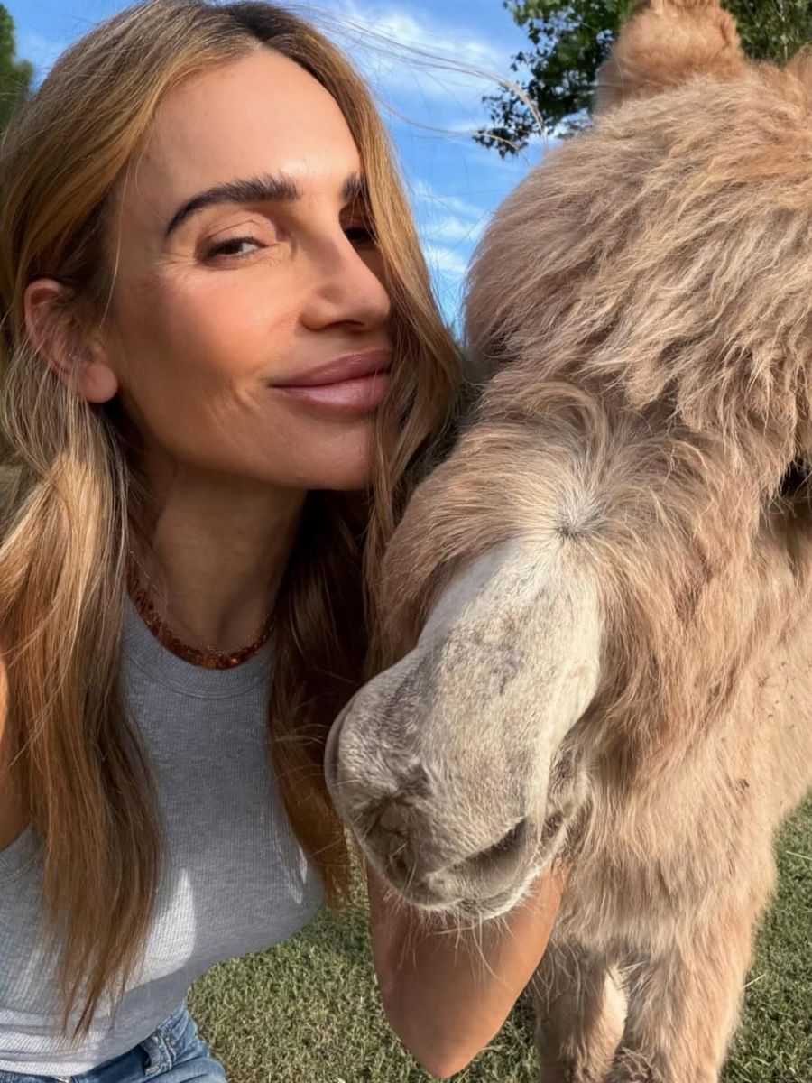 Olga, la burra de María Vázquez