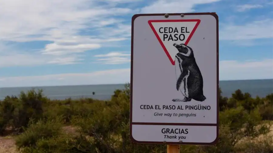 Caso Pingüinos de Punta Tombo