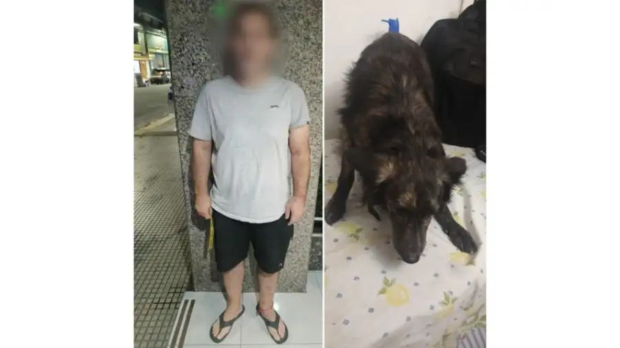 El hombre, de 46 años, fue detenido e imputado por maltrato animal