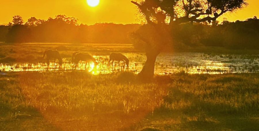 1704_manantiales serranos