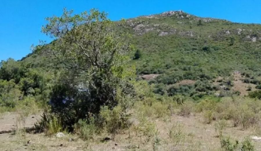 1704_manantiales serranos