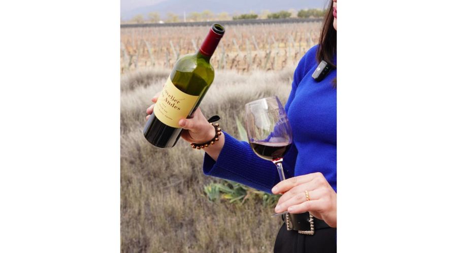 El vino que todos toman… pero casi nadie entiende