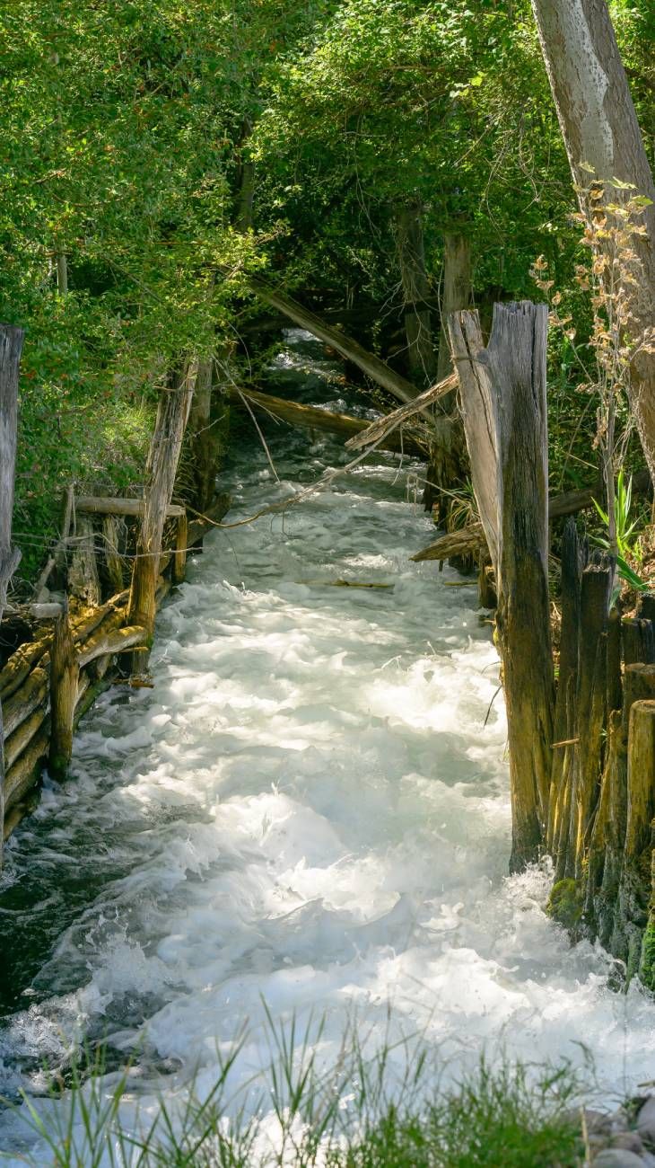 Vino y turismo 17042026