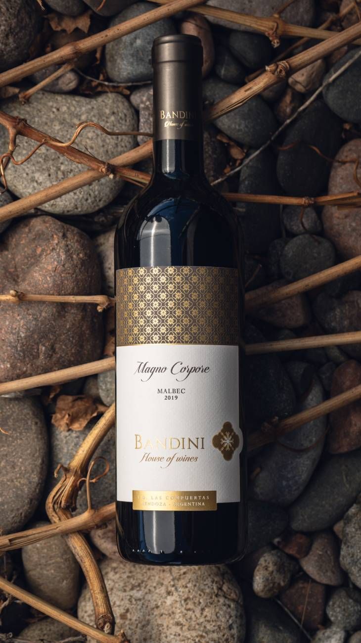 Vino y turismo 17042026