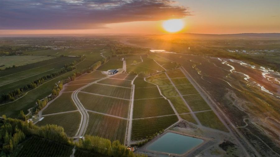 Vino y turismo 17042026