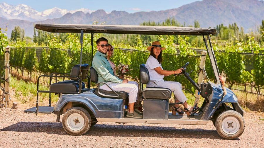 Vino y turismo 17042026