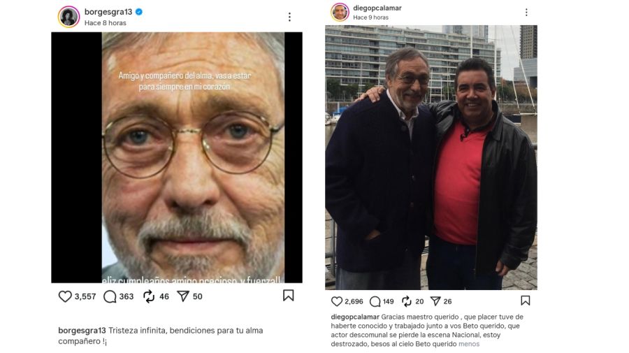 Despedida a Luis Brandoni en redes sociales