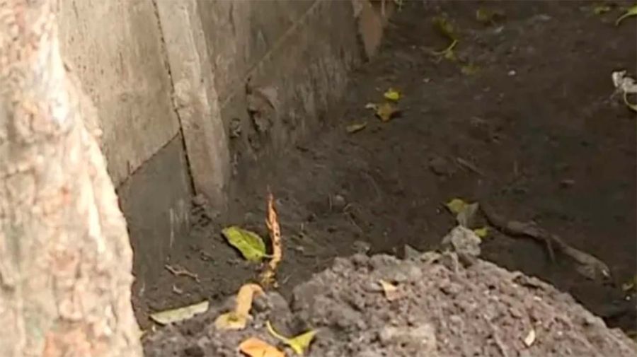 Gisele Ruocco hallada muerta en Claypole 20042026