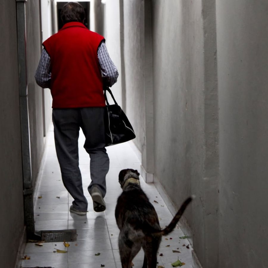 Luis Brandoni junto a sus perros