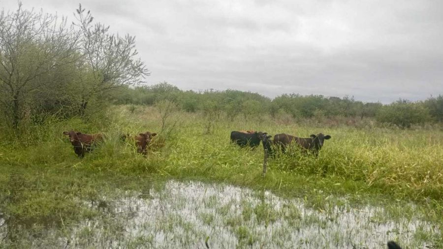 Inundaciones en Vera, Santa Fe 21042026