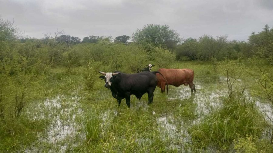 Inundaciones en Vera, Santa Fe 21042026
