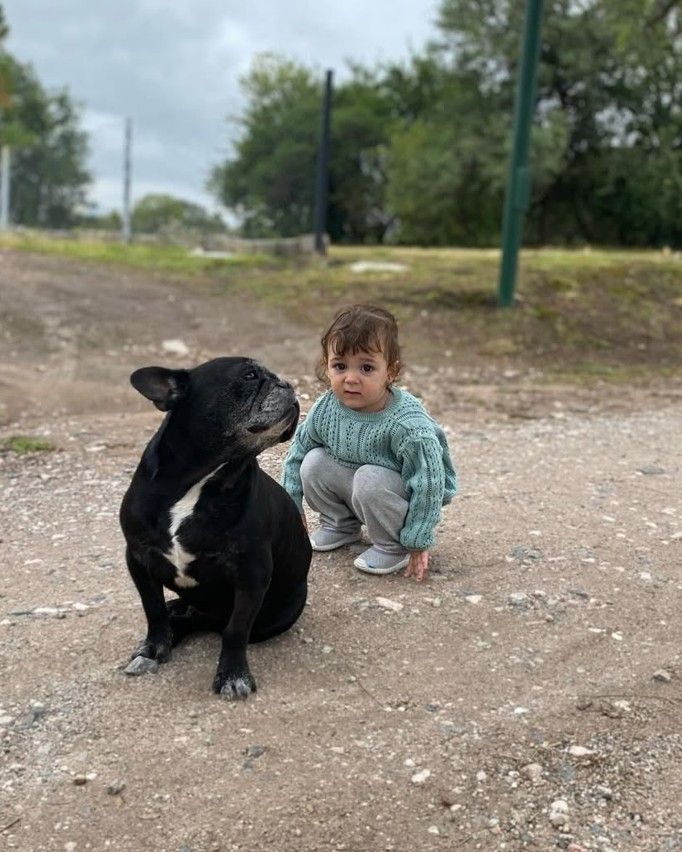 Moro, el perro de Paula y Pedro