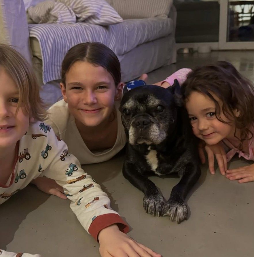 Moro, el perro de Paula y Pedro