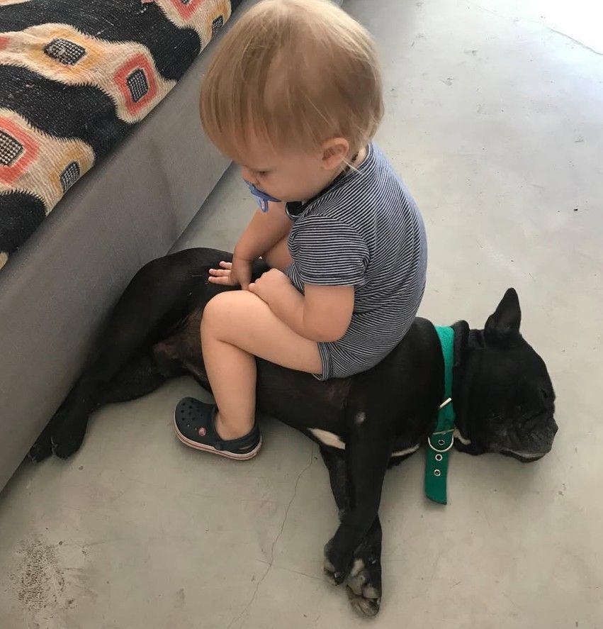 Moro, el perro de Paula y Pedro