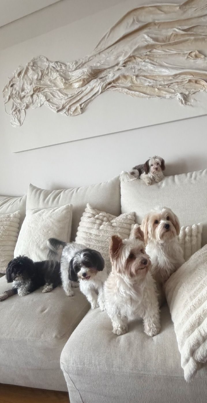 La vanguardista obra que tiene Evangelina Anderson en su living