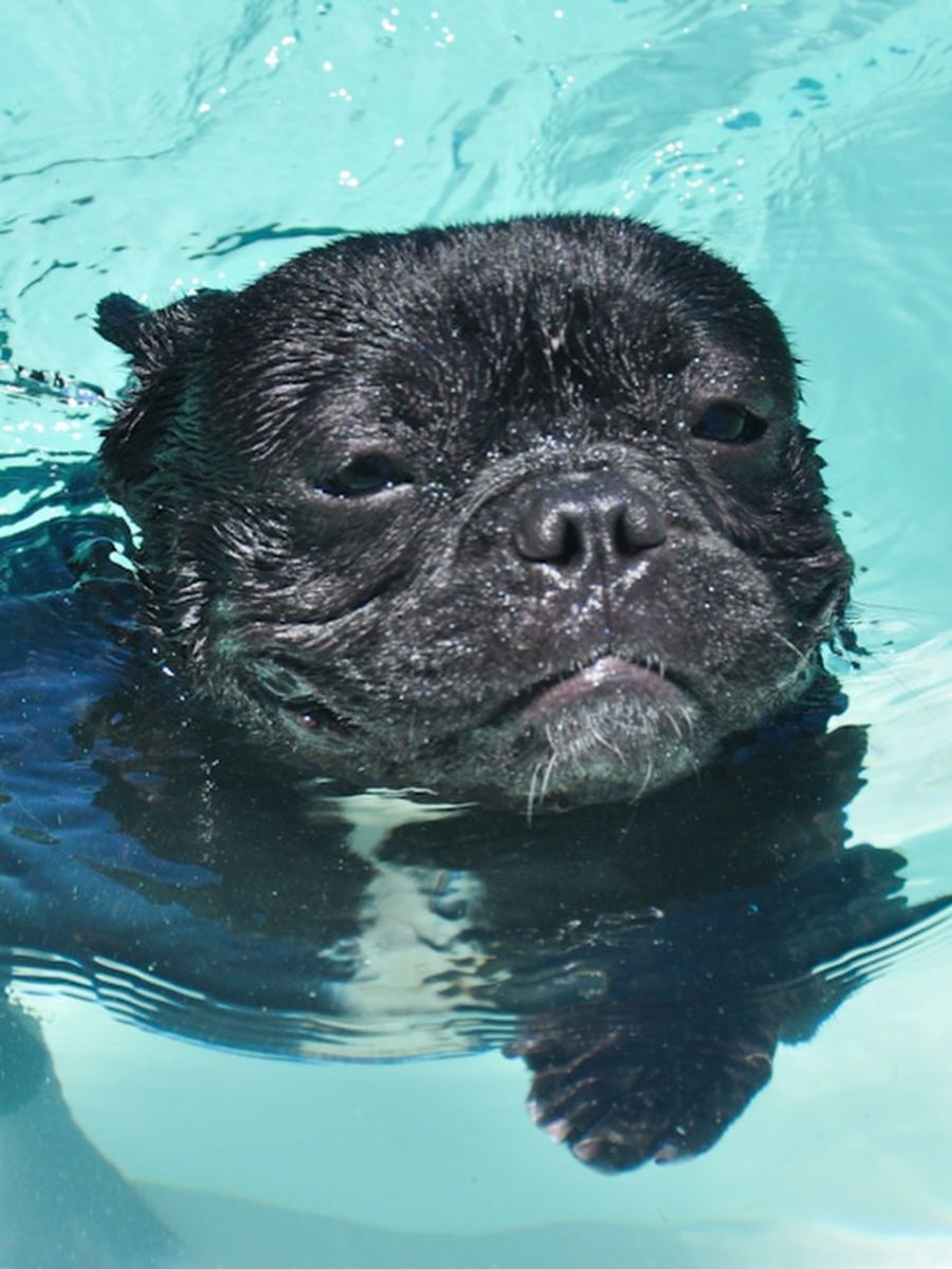 Moro con la familia Chaves 3