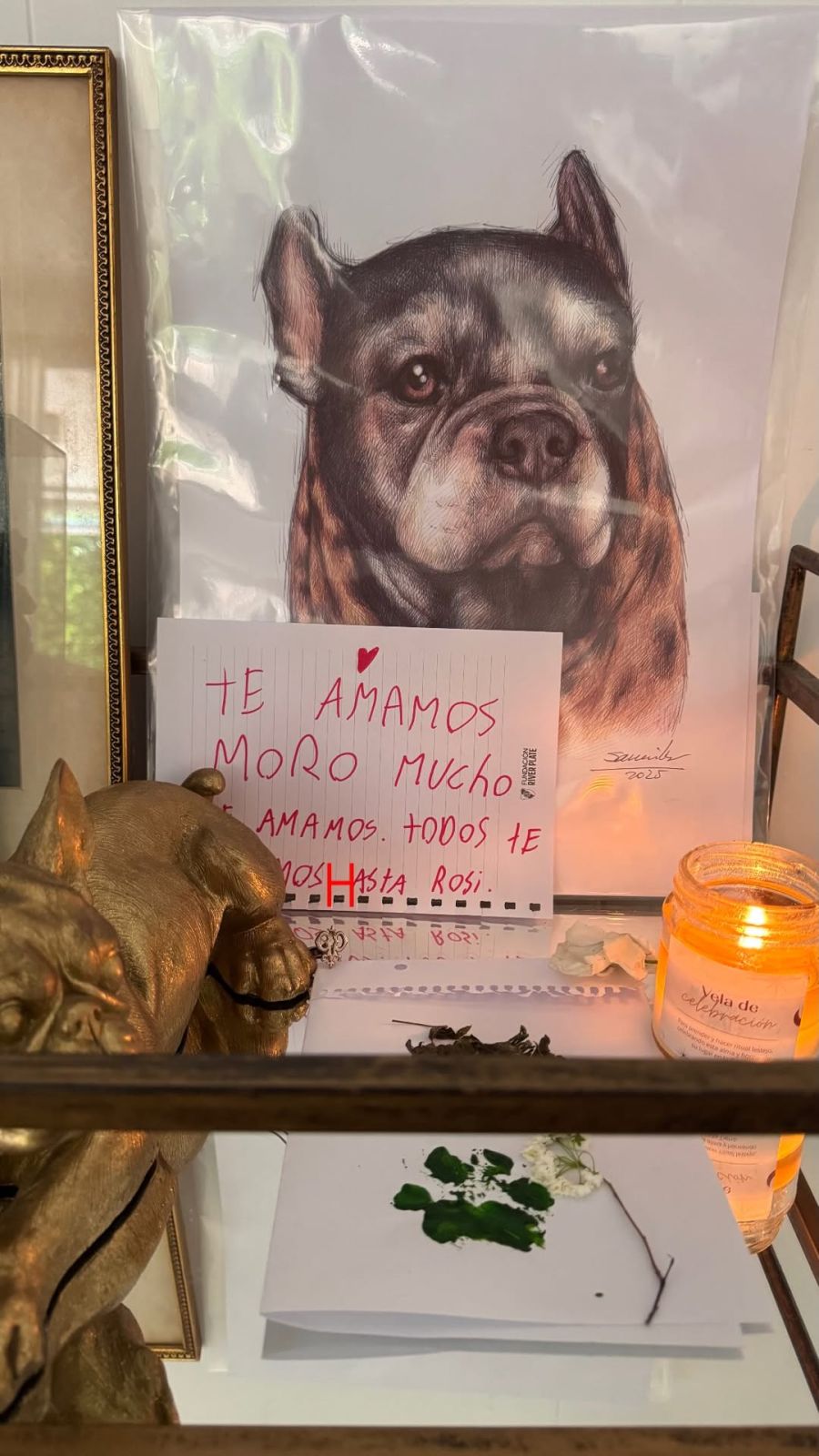 Paula Chaves, Olivia Alfonso, Baltazar Alfonso, Filipa Alfonso