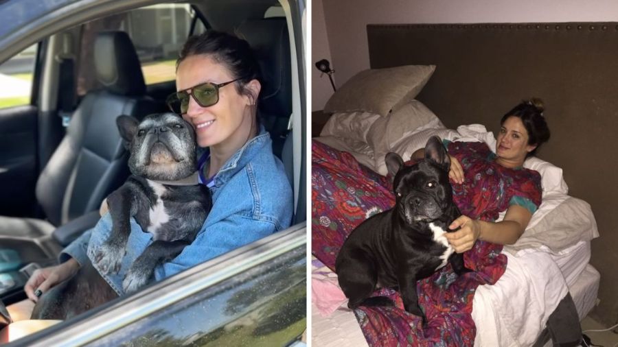 Paula Chaves recordó a Moro, su bulldog francés