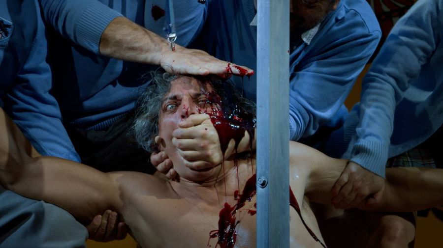 Películas del BAFICI 27