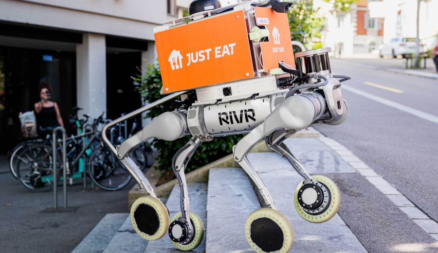 Robots delivery