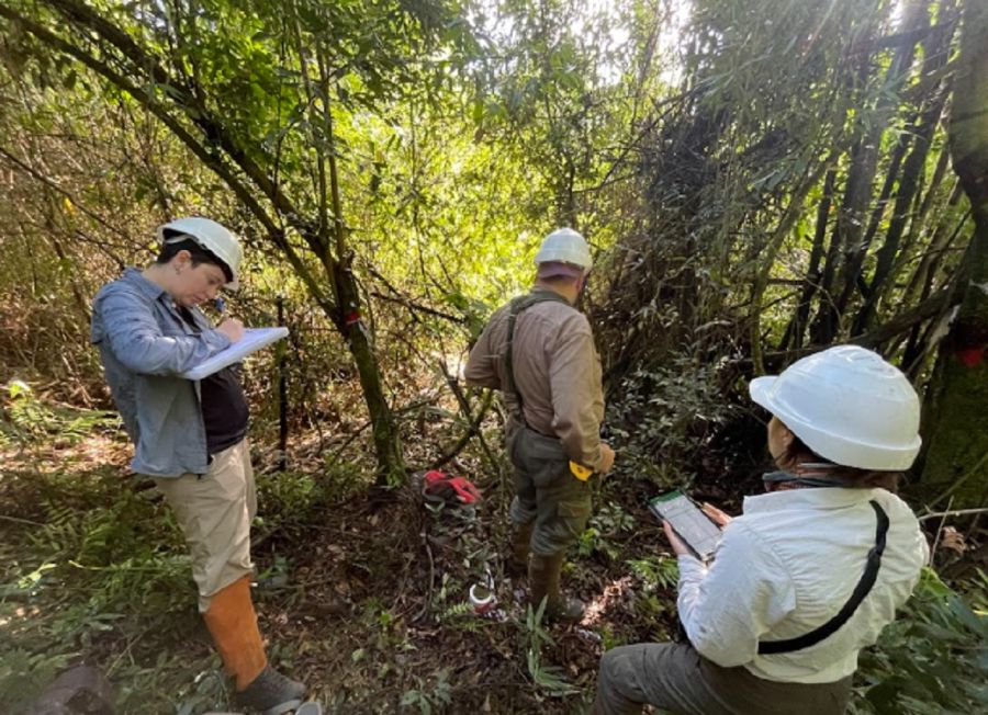 2304_corredor biològico 