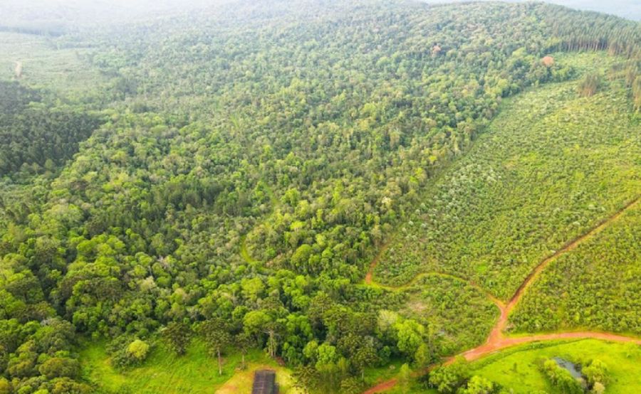 2304_corredor biológico