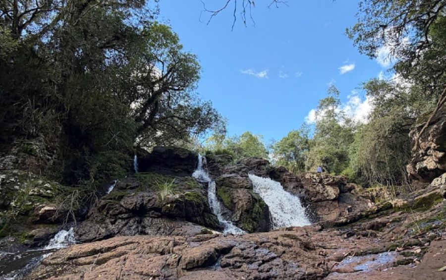 2304_corredor biológico