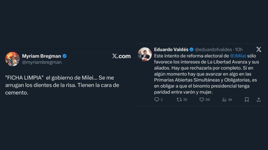 Críticas a la reforma electoral