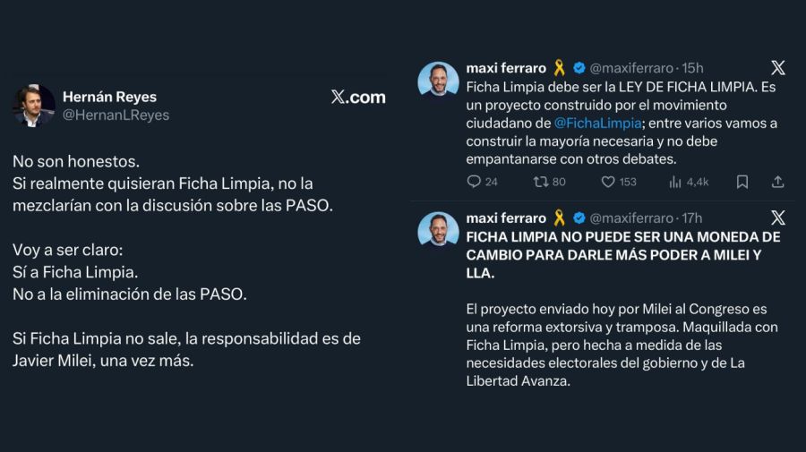 Críticas a la reforma electoral