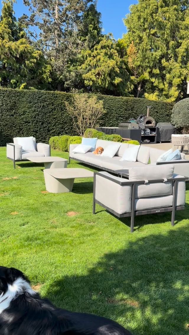 Valentina Cervantes, Enzo Fernández