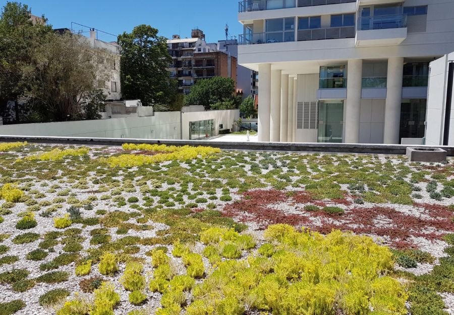 Techos verdes y jardines verticales