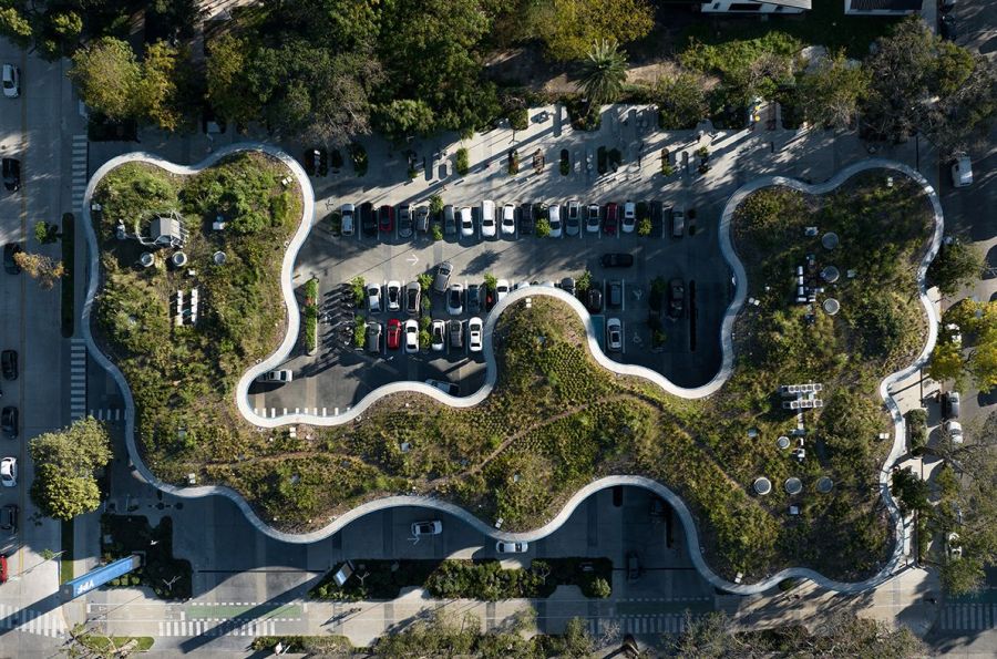 Techos verdes y jardines verticales